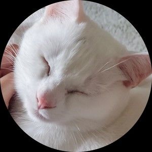 Meet your Posher, Mei